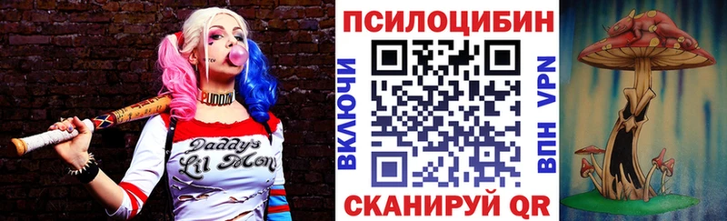 Псилоцибиновые грибы Psilocybe  Сольцы 